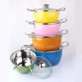 Color Surface Stainless Steel Stock Pot Set 5 piezas con tapa de vidrio